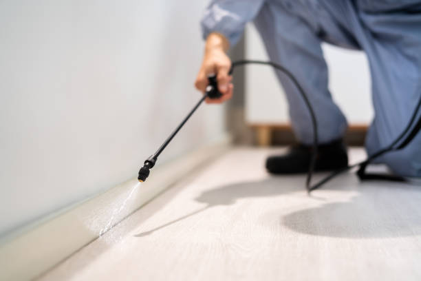 Licensed Pest Control service in Corrigan, TX - Show Me Pest Control