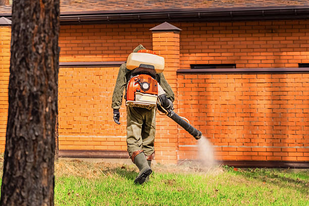 Bed Bug Clearance Verification and Documentation in Corrigan